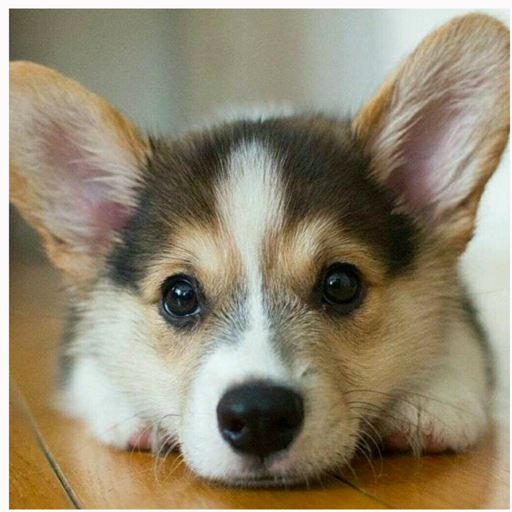 Welcome! - Picture 4 of 4